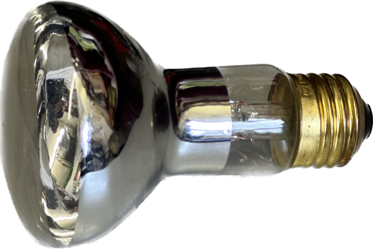 100W Lava Lamp Light Bulb Replacement Toytown Toytown Toronto