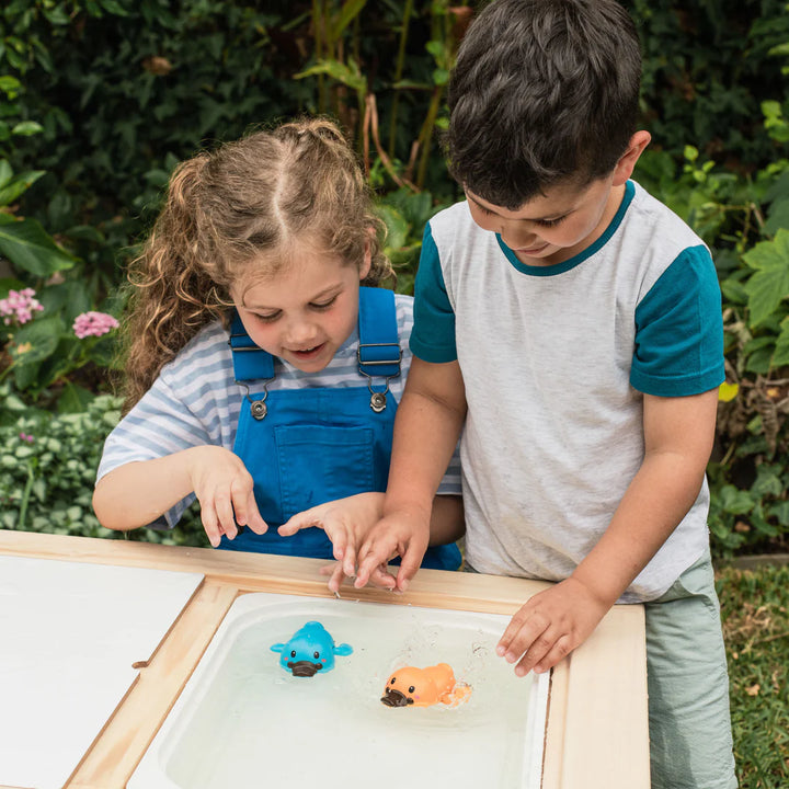 Platypus Bath Racers