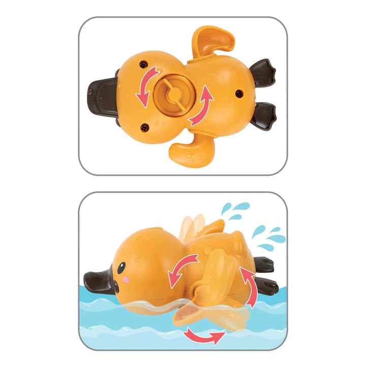 Platypus Bath Racers
