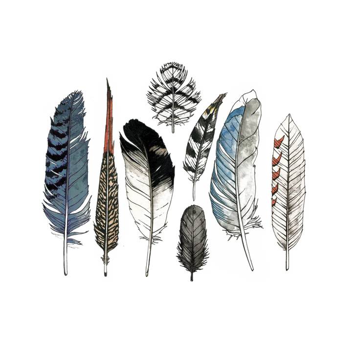 Tattly Watercolor Feather Tattoo Set