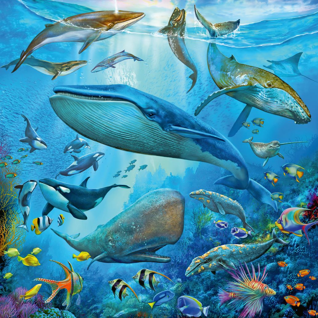 Ravensburger Ocean Wildlife Jigsaw Puzzles 3 x 49pc