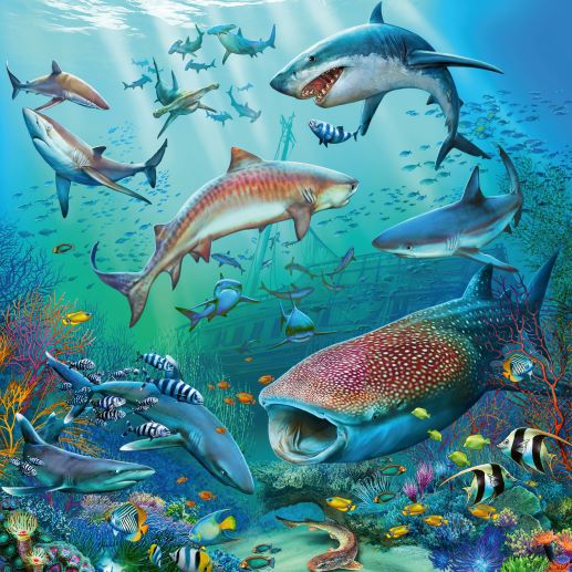 Ravensburger Ocean Wildlife Jigsaw Puzzles 3 x 49pc