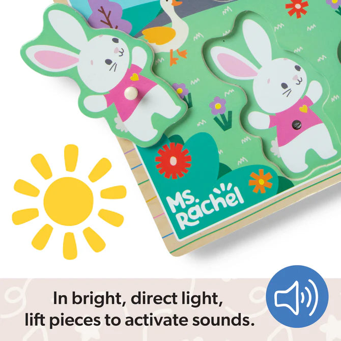 Ms Rachel Wooden Sound Puzzle
