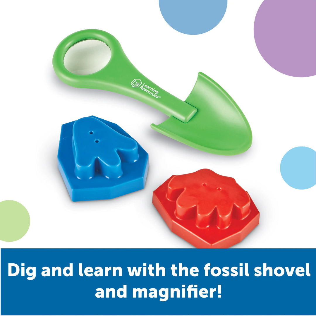 Dinosaur Activity Set