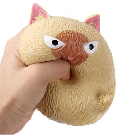 Squeezy Squishy Cat
