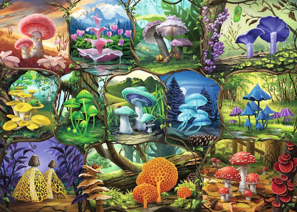 Ravensburger Beautiful Mushrooms Jigsaw Puzzle 1000pc