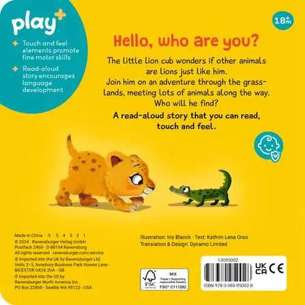 Are You A Lion Like Me? Board Book