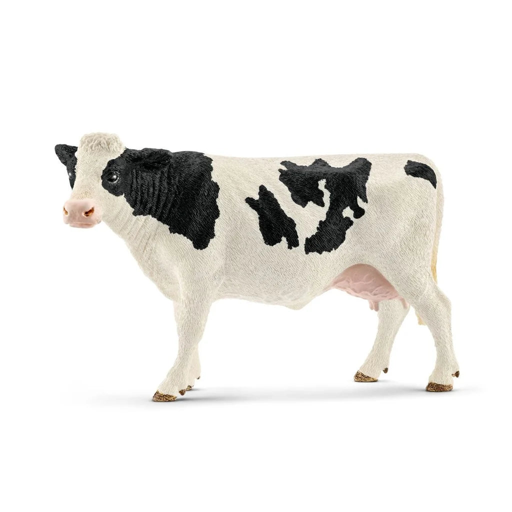 New Arrivals!
