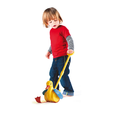 Quack &amp; Flap Push Toy