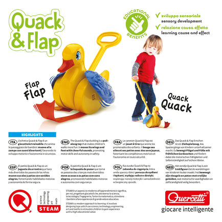Quack &amp; Flap Push Toy