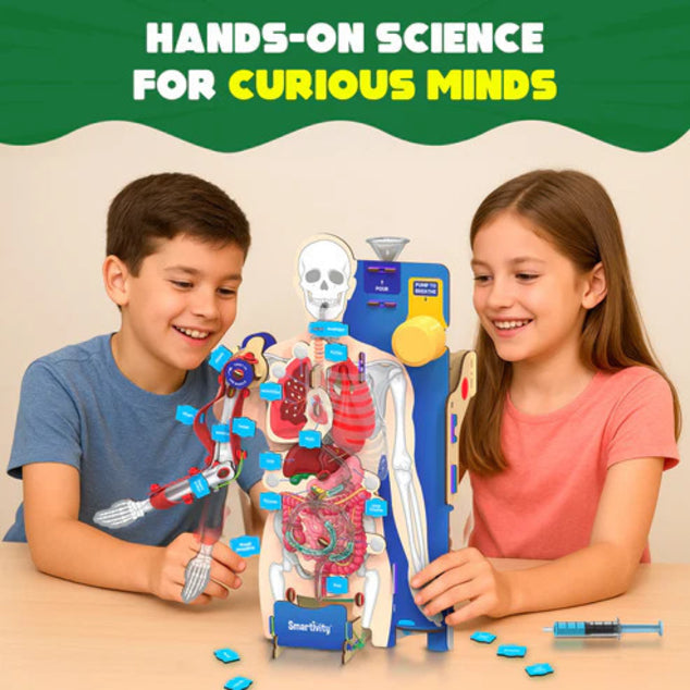 Smartivity Interactive Human Body