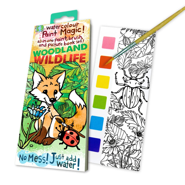 Paint Magic- Woodland Wildlife