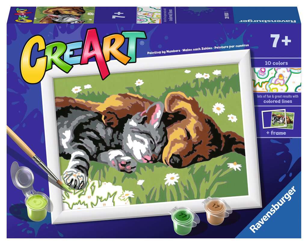 CreArt Paint by Number - Sleeping Cat & Dog