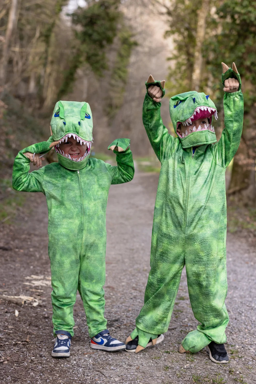 T-Rex Costume