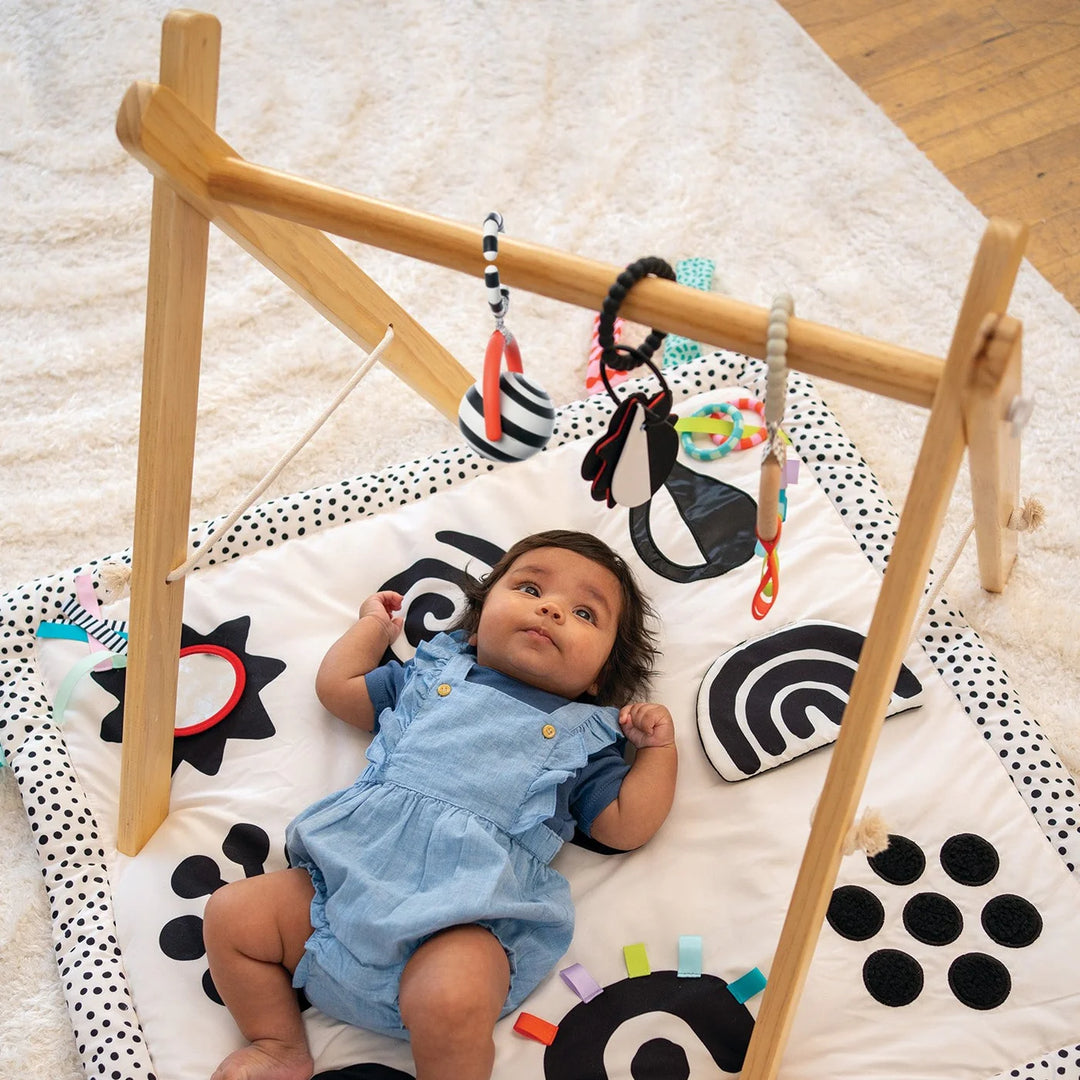 Manhattan Toy Bullseye Ball