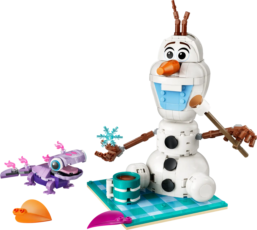 LEGO® Disney Olaf And Bruni's Picnic Fun