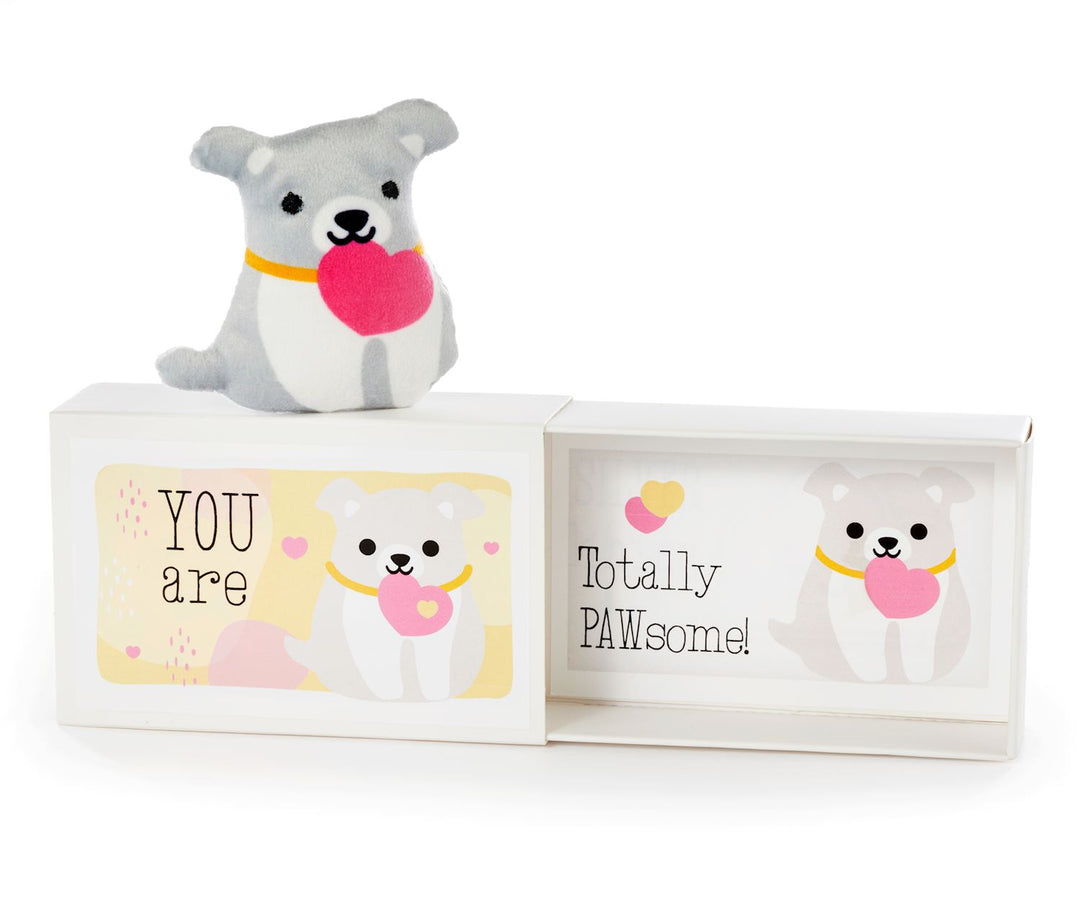 Pocket Hug Assortment