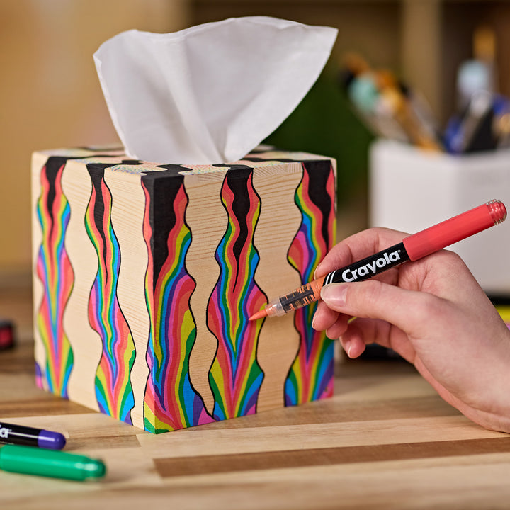 Crayola Acrylic Paint Markers 10 Brush Tips