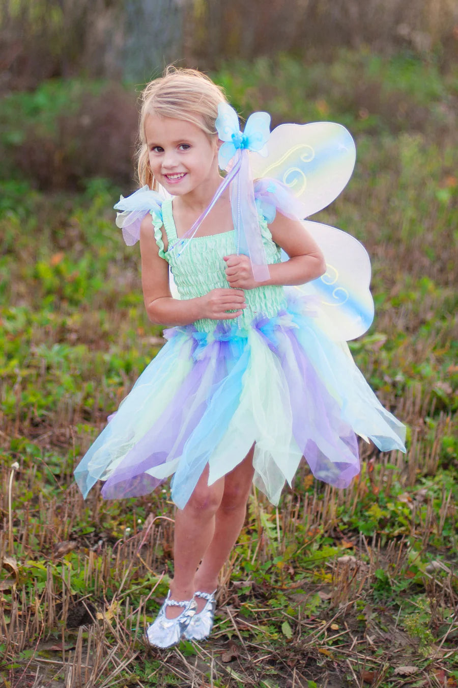 Butterfly Dress & Wings With Wand, Green Multi Size 5-6
