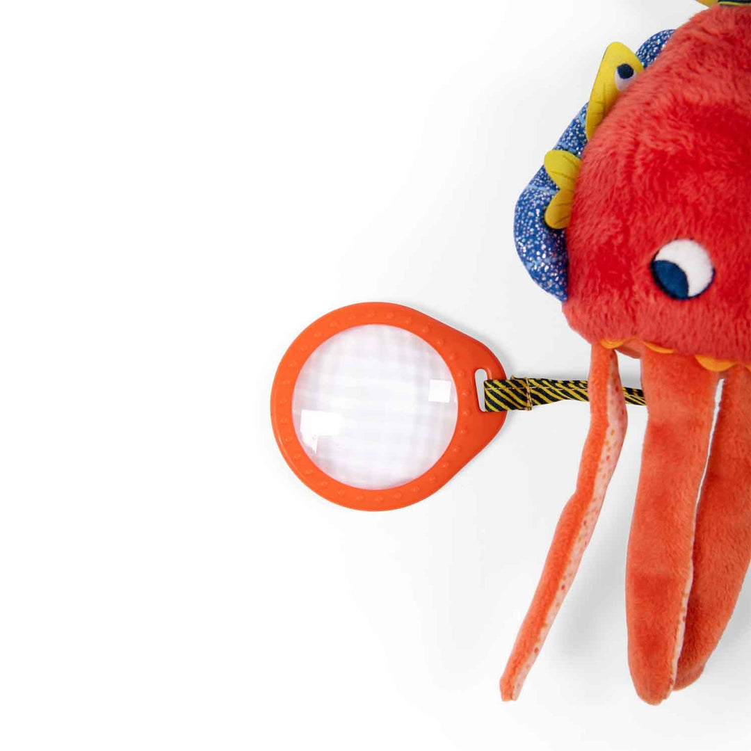 Moulin Roty Aventures De Paulie Activity Cuttlefish