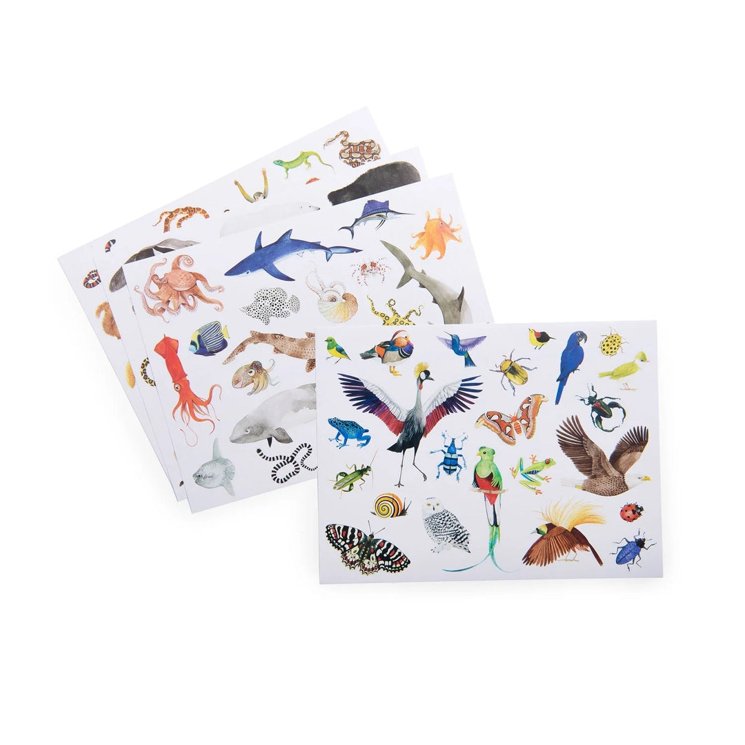 Moulin Roty All Around The World Pack of 78 Stickers