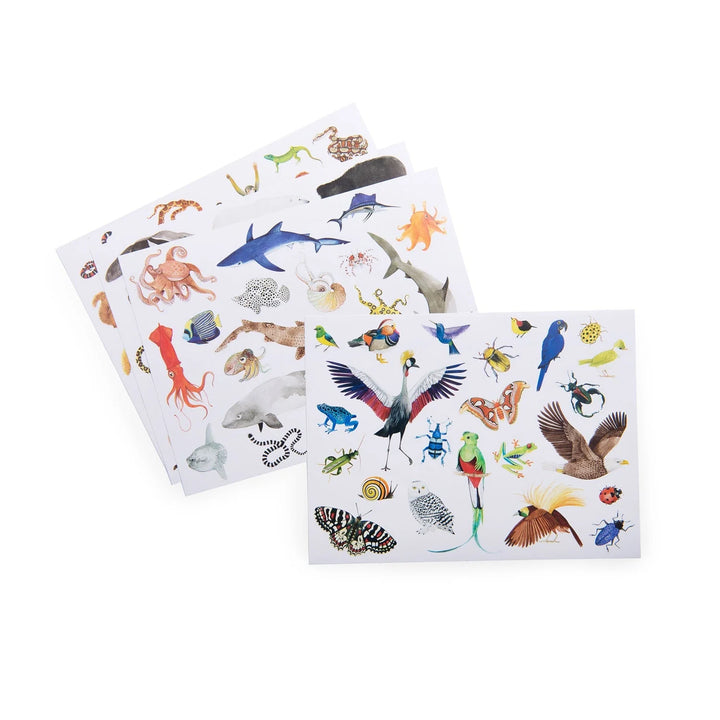 Moulin Roty All Around The World Pack of 78 Stickers
