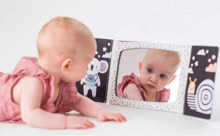 Taf Toys Tummy-Time Mirror Book