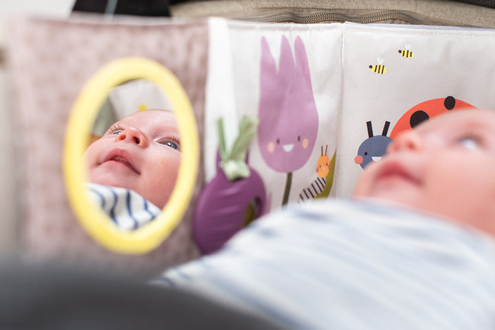 Taf Toys Urban Garden Pram Book