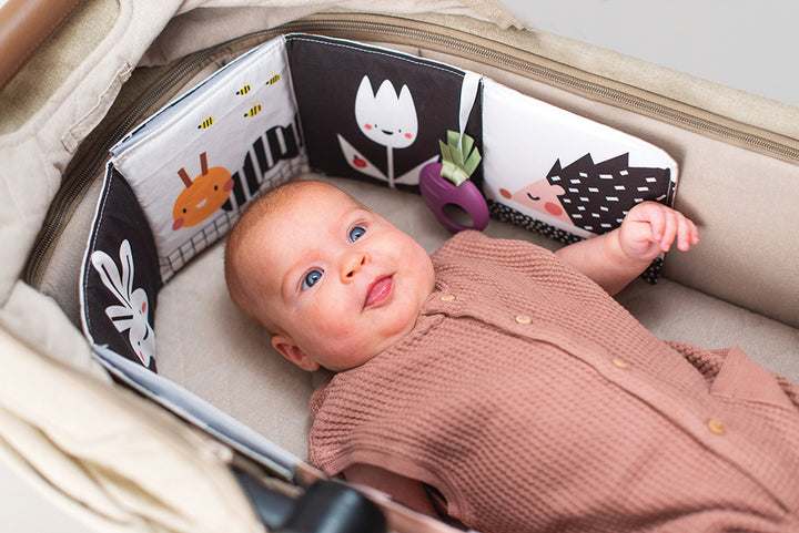 Taf Toys Urban Garden Pram Book