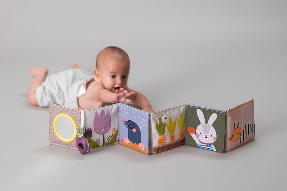 Taf Toys Urban Garden Pram Book