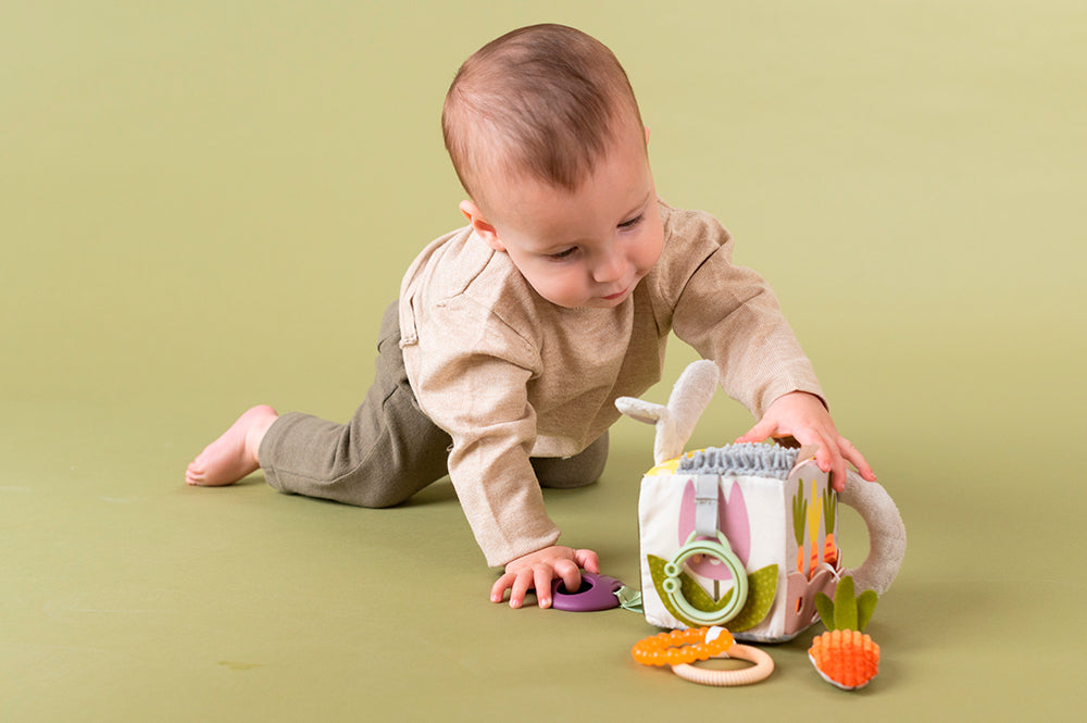 Taf Toys Urban Garden Activity Cube