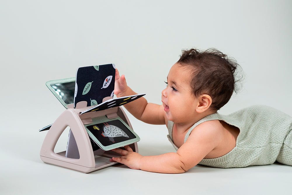 Taf Toys Black & White Spinning Book