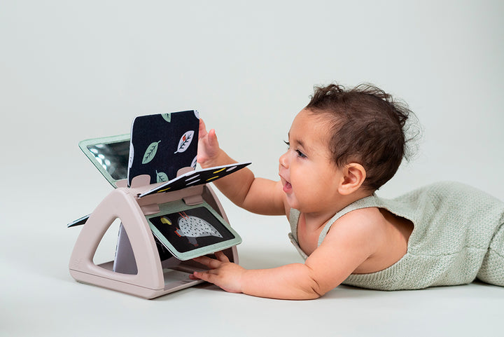 Taf Toys Black & White Spinning Book