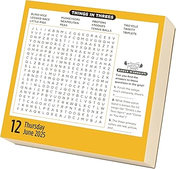 Brain Workout Word Search 2025 Page-A-Day Calendar-FINAL SALE