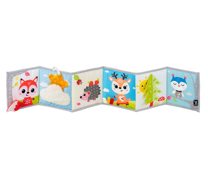 Double Sided Baby Book