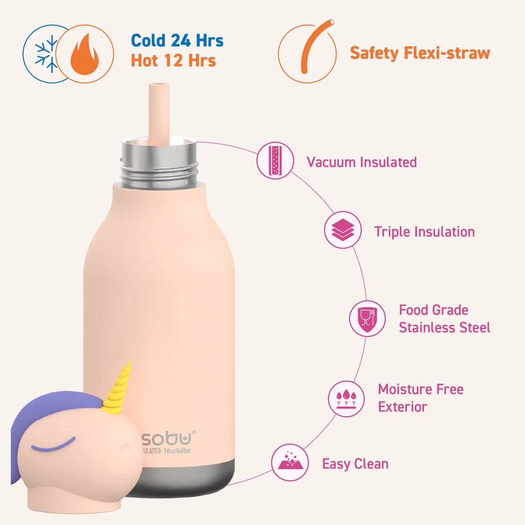 Asobu Bestie Water Bottle 16oz Assortment
