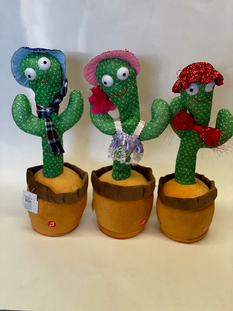 Dancing Cactus Assorted Styles