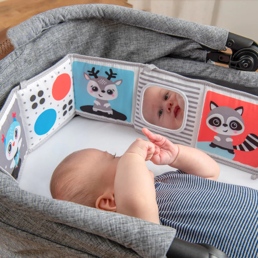 Double Sided Baby Book
