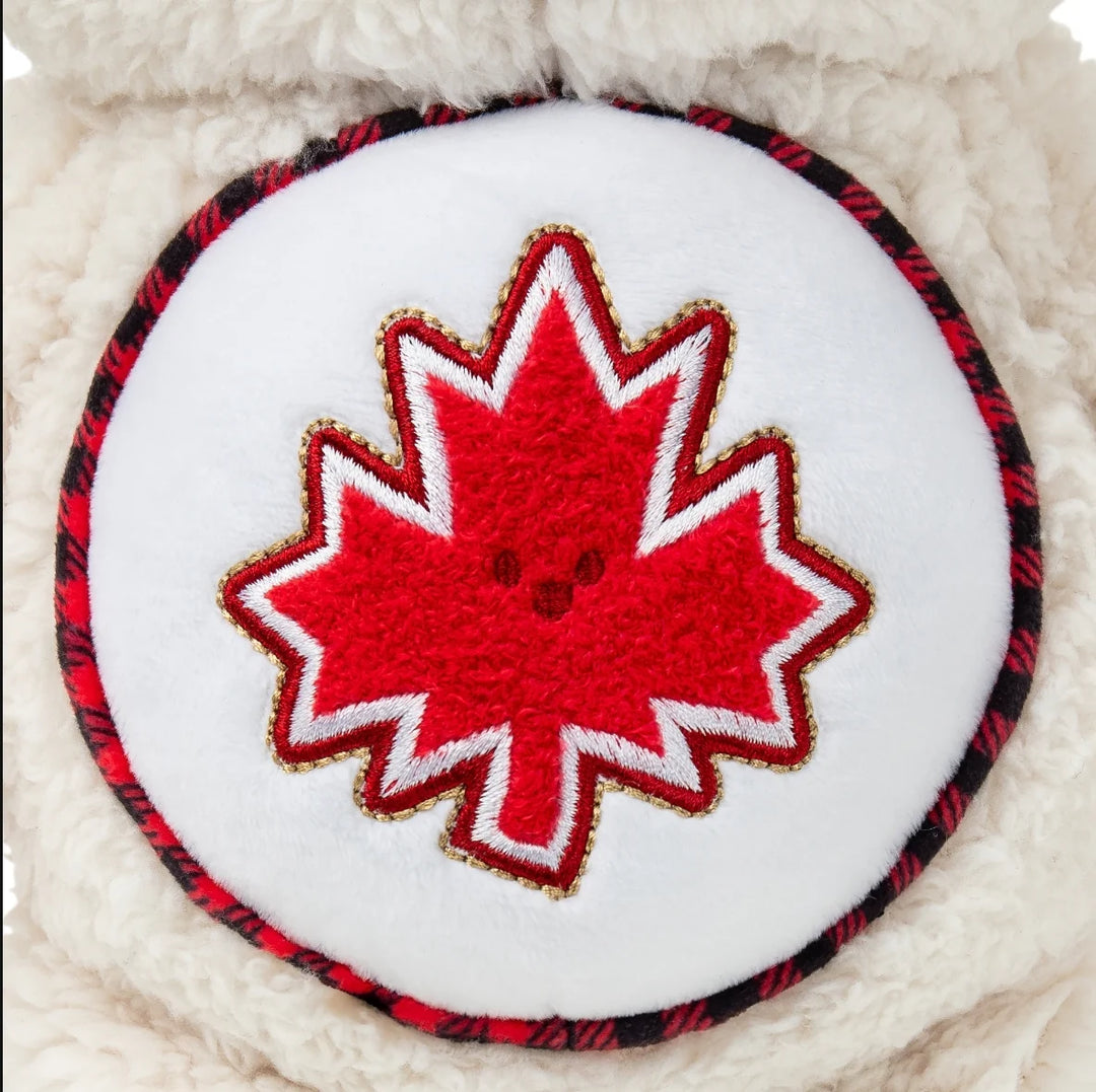 Care Bears True North Bear 14"