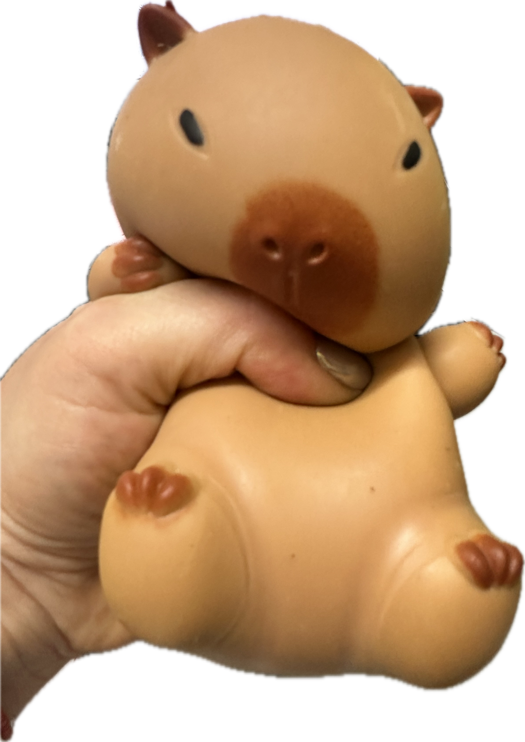 Squishy Capybara