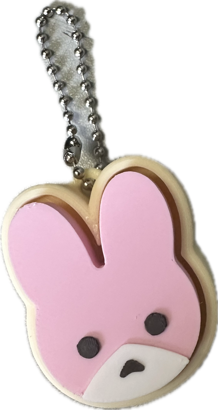 3D Printed Bunny Fidget Clickers