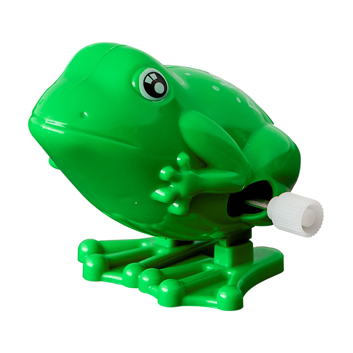 Passover Hoppy Frog