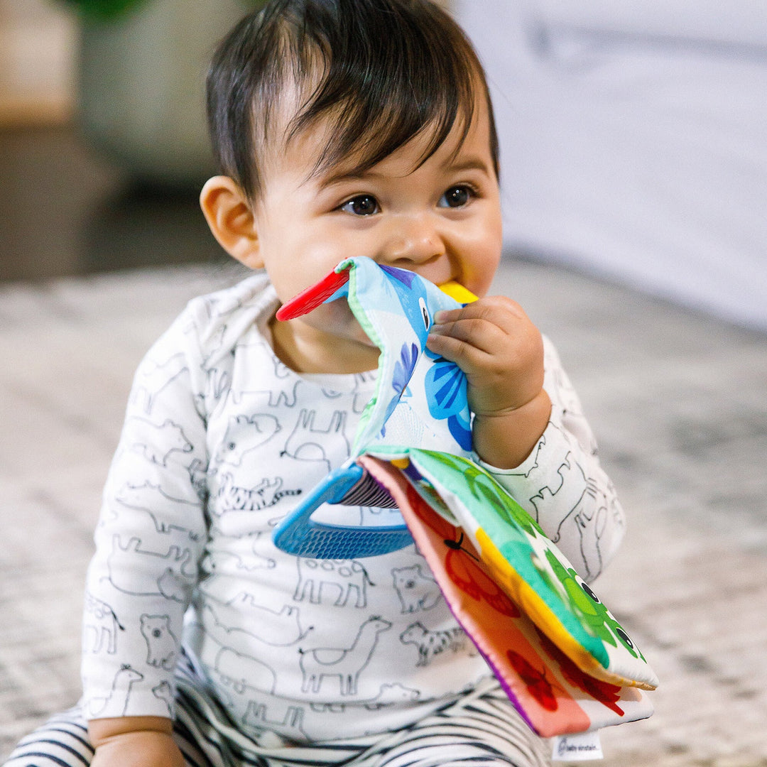 Baby Einstein Curious Explorers Teether Book