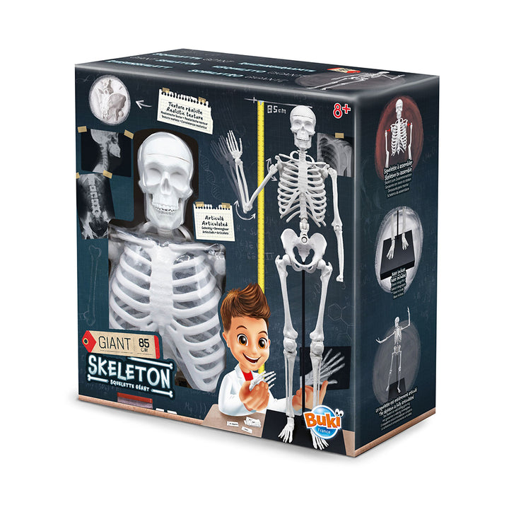 Buki France - Giant Skeleton (85cm)