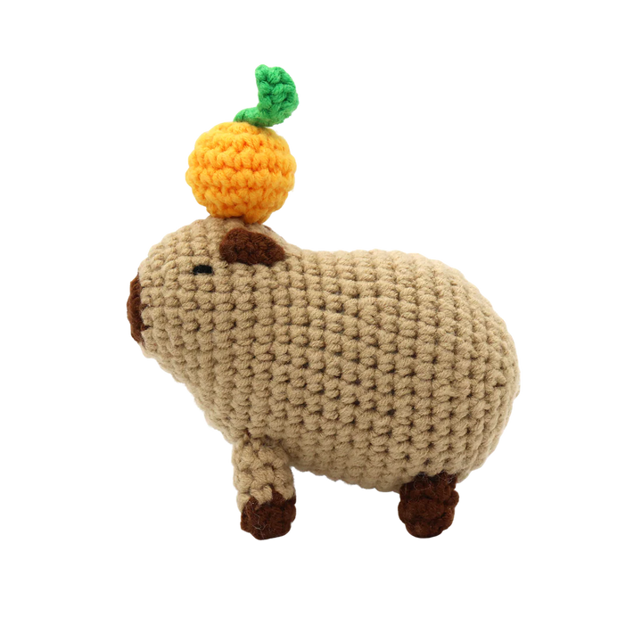 Chill Capybara DIY Crochet Kit