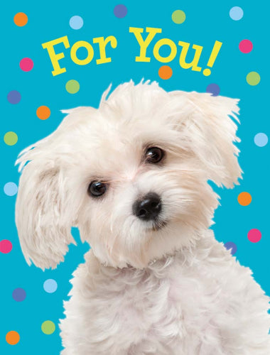 White Doggie Enclosure Card