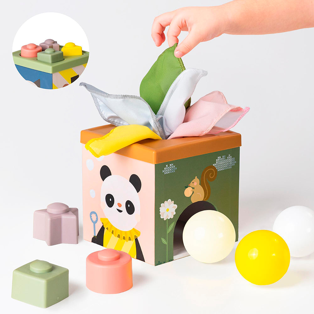 Taf Toys - Play & Discovery Cube