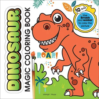 Dinosaur Magic Colouring Book