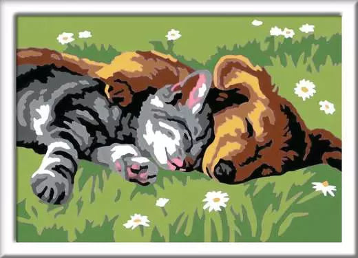 CreArt Paint by Number - Sleeping Cat and Dog