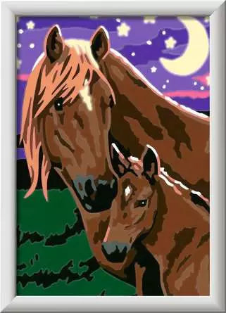 CreArt Paint by Number - Horses at Midnight